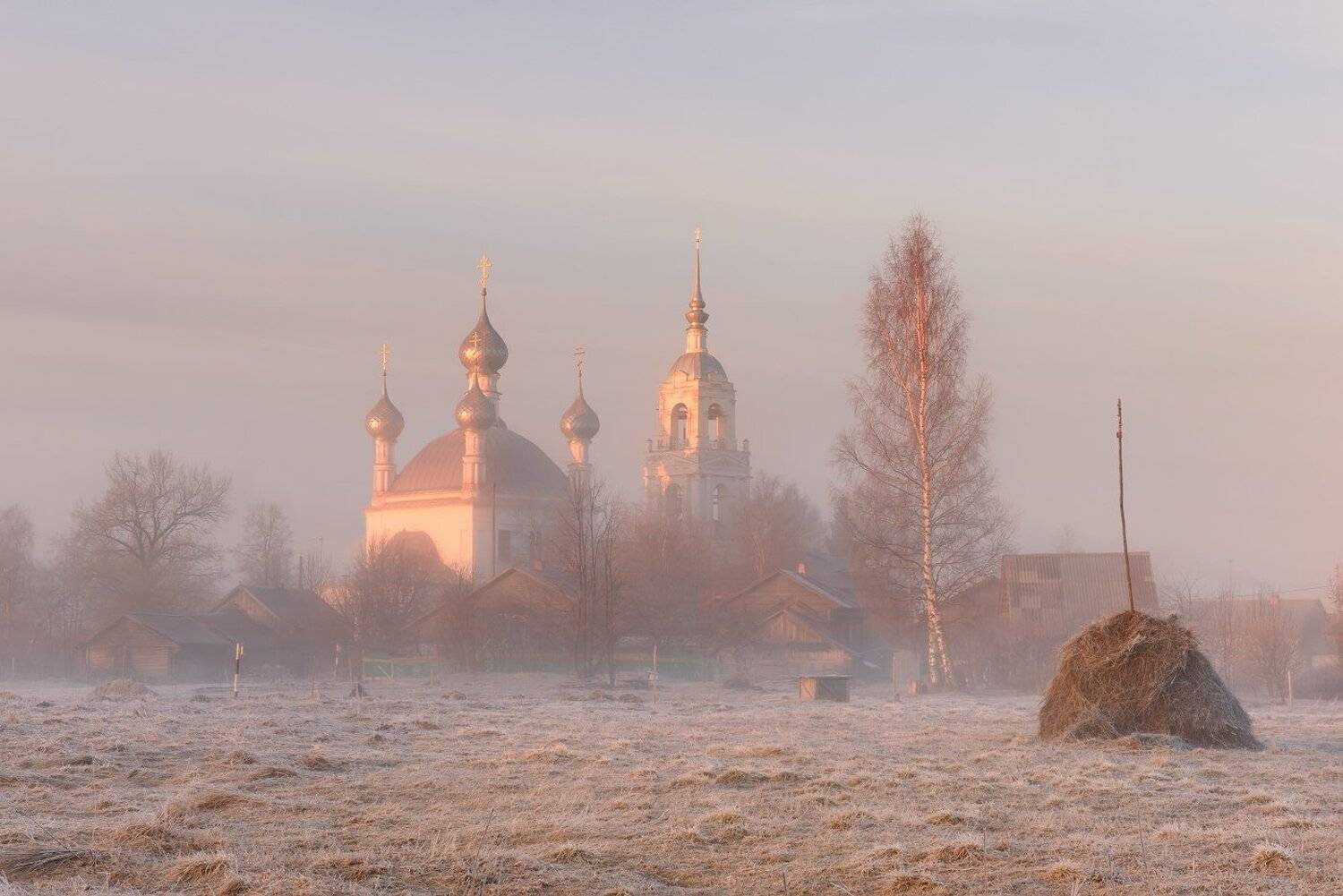 , Максим Евдокимов