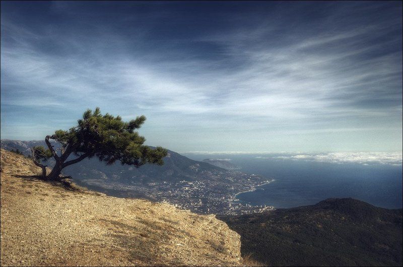 Выше ветра фото превью