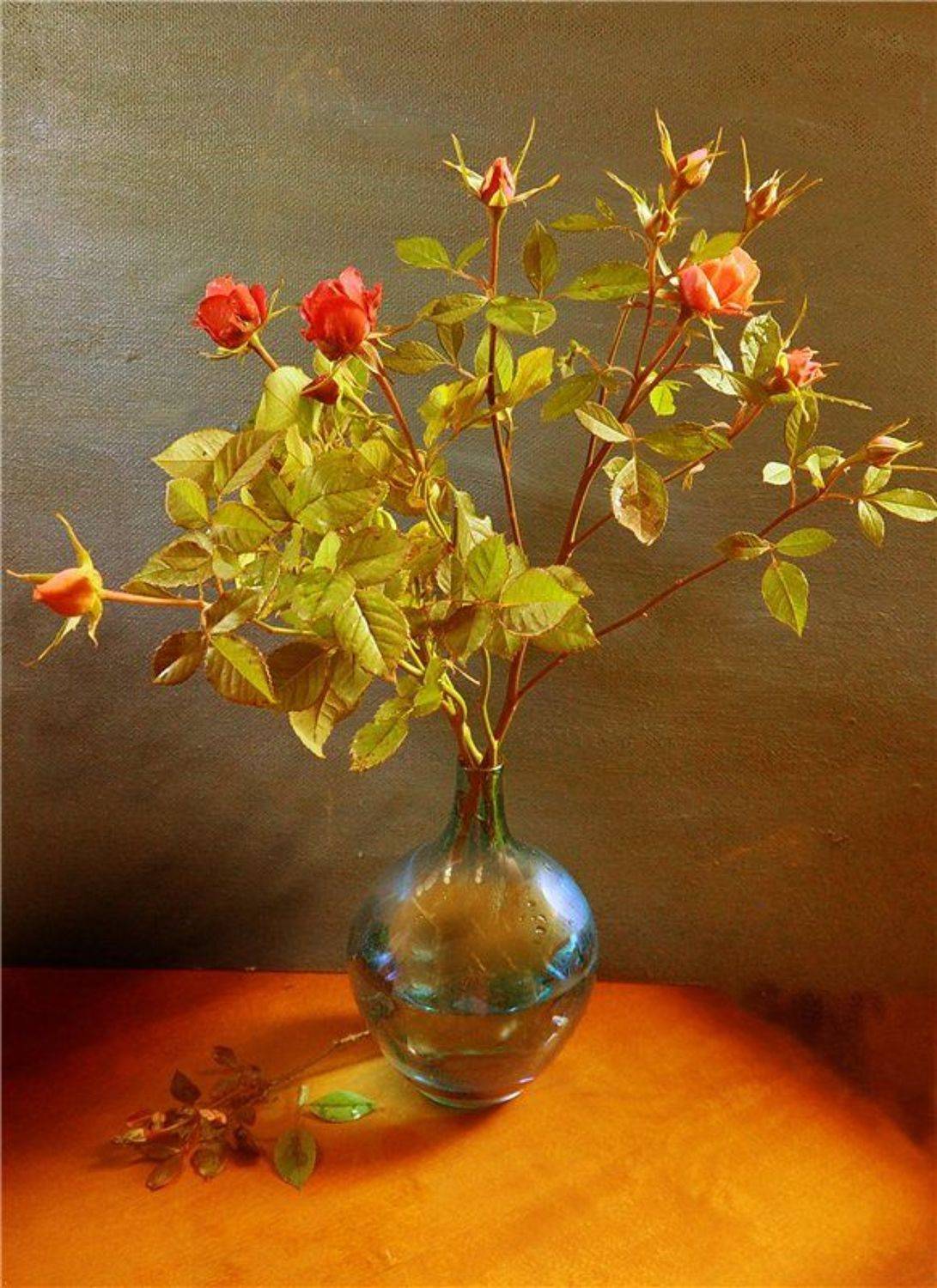 , Лариса Запатрина