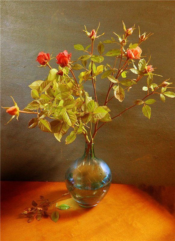 С розами фото превью