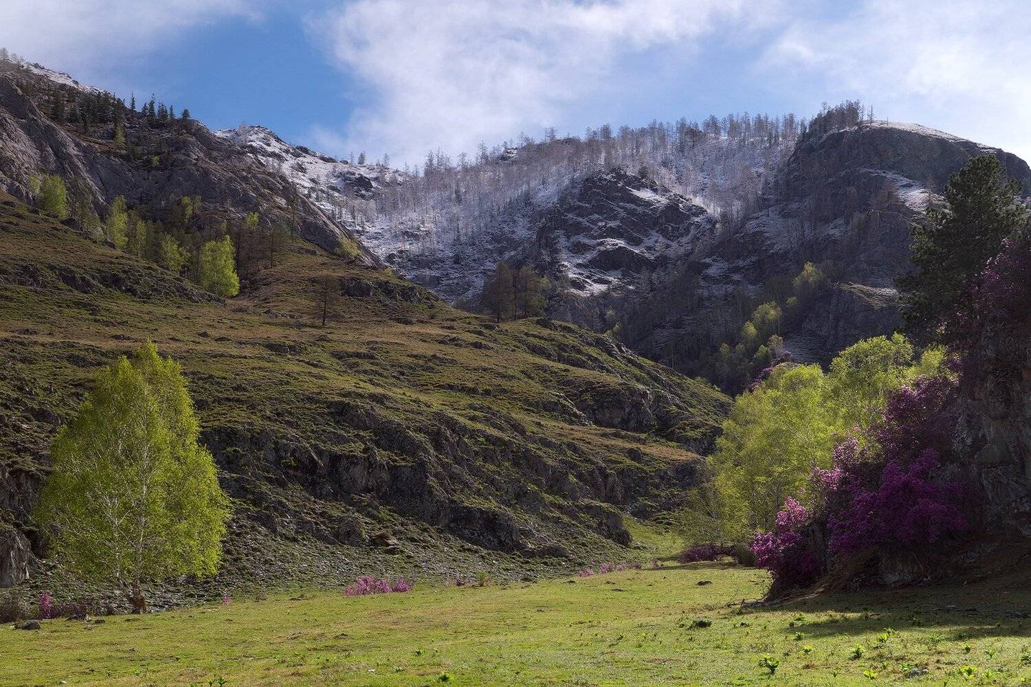 , Лещёнок Александр