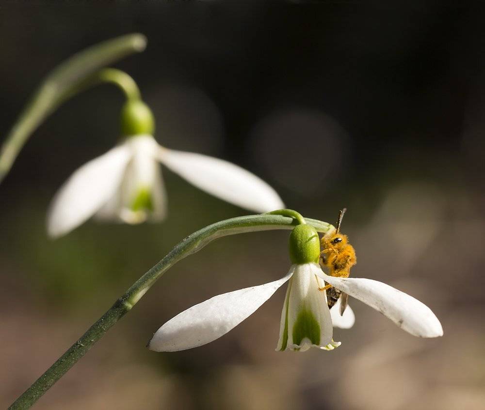 , Иваненко Светлана