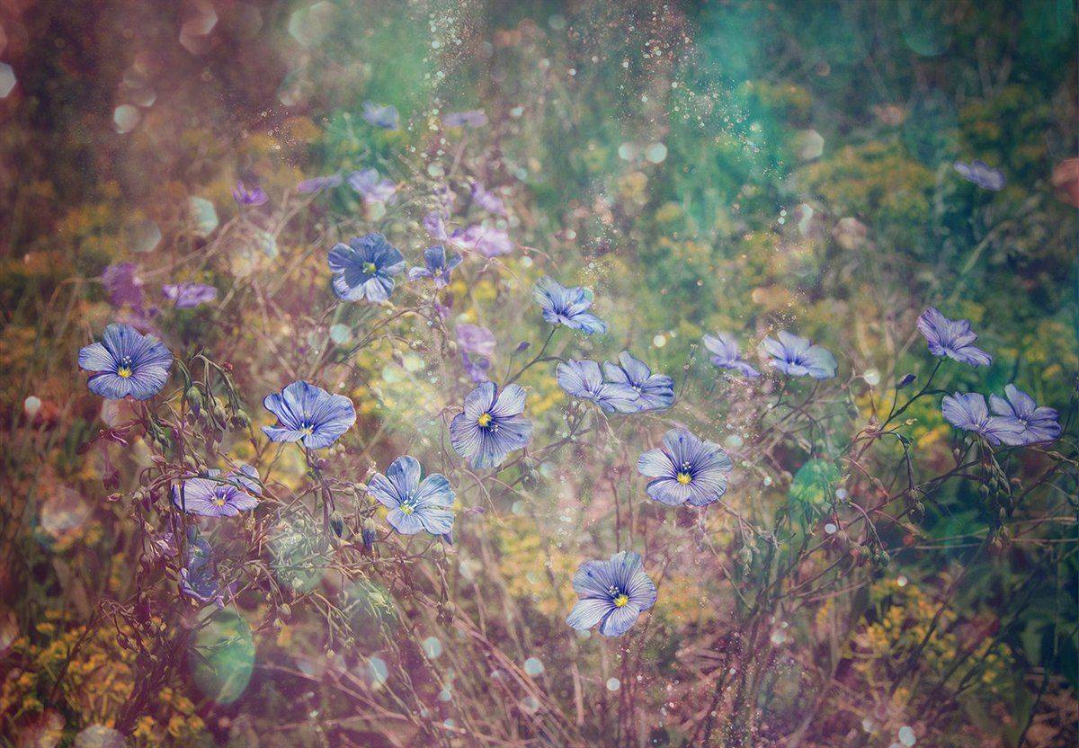 , Таня  Маркова