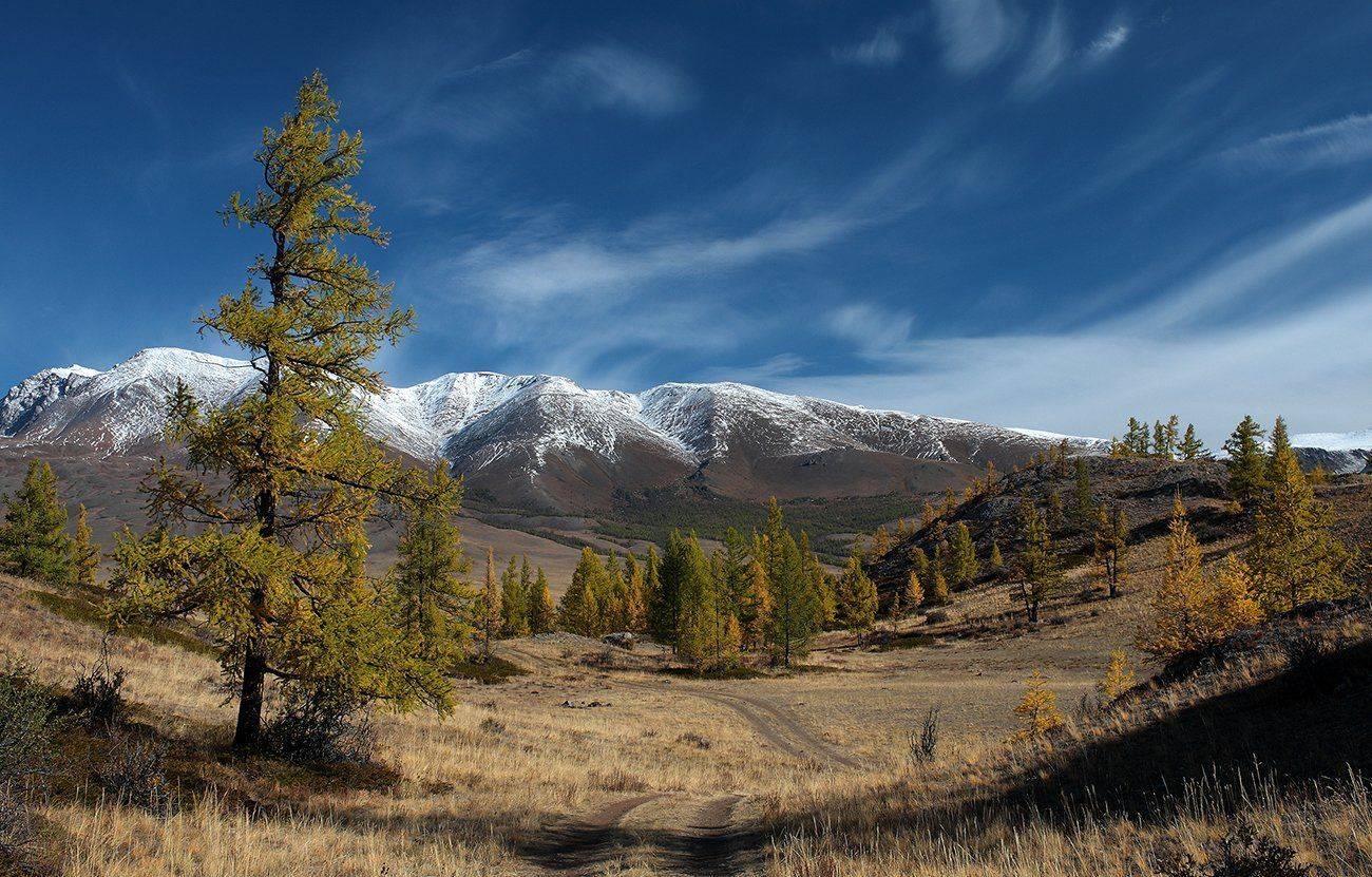 , Алексей Родак