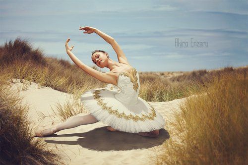 Swan dream II