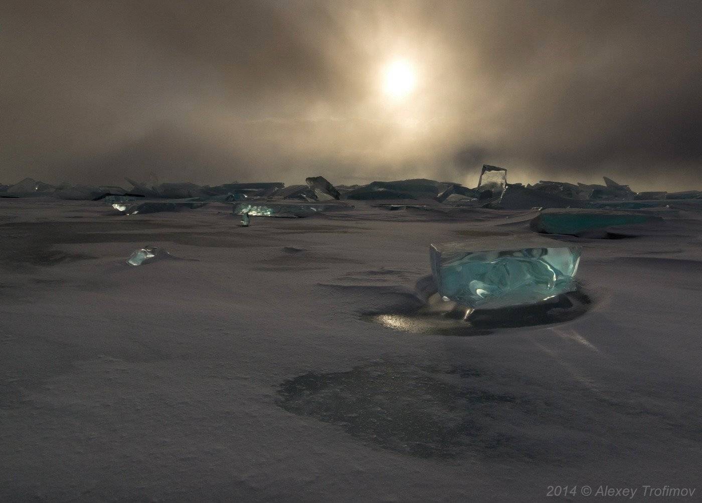 , Алексей Трофимов