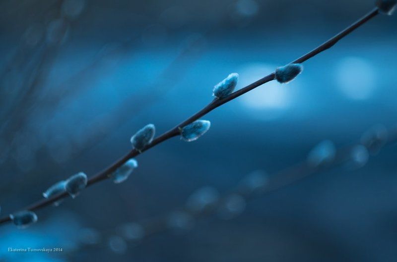 Labyrinth of Dreams фото превью