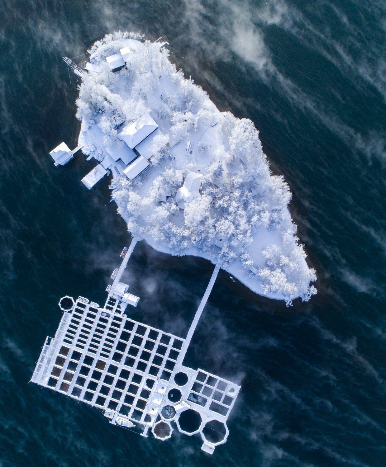 , Игорь Железняк