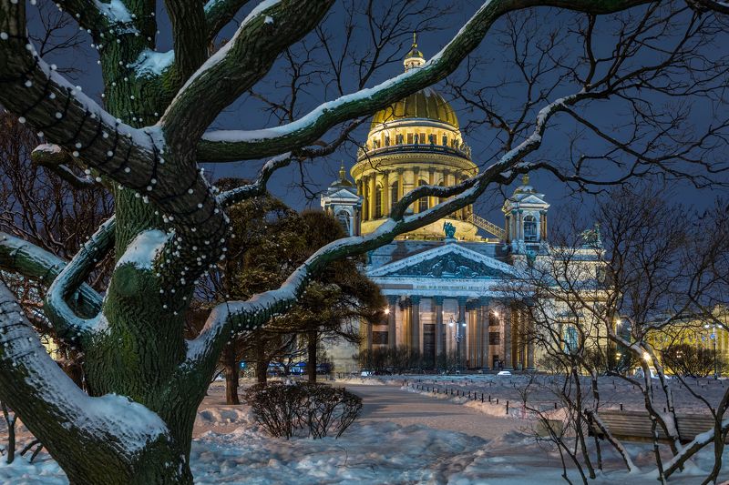 санкт-петербург, петербург, исаакий, исаакиевский собор, сквер, площадь, ночь, снег, мистика, сказка, рождество Исаакиевская площадь фото превью