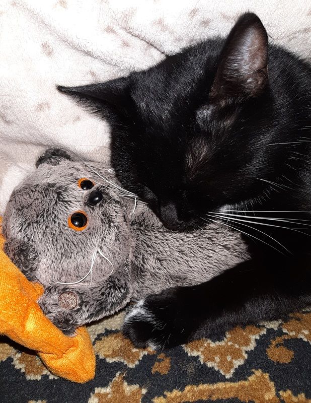 Это любовь фото превью