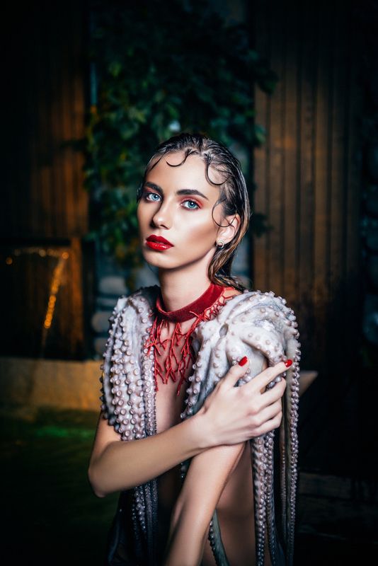 Octopus фото превью