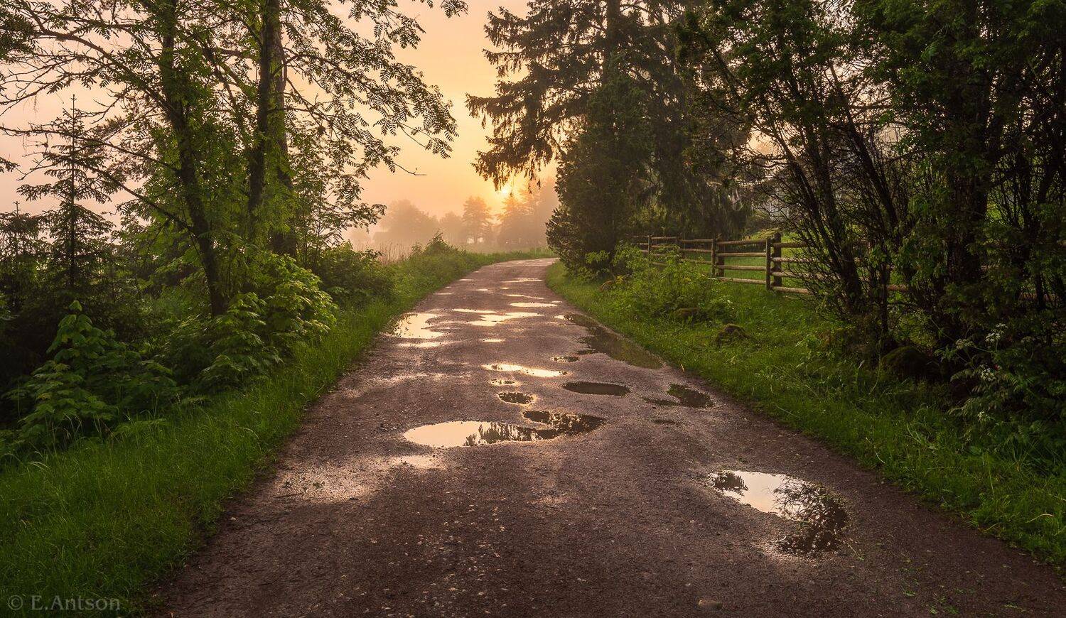 пейзаж,  природа,  туман,  рассвет, Elvis Antson