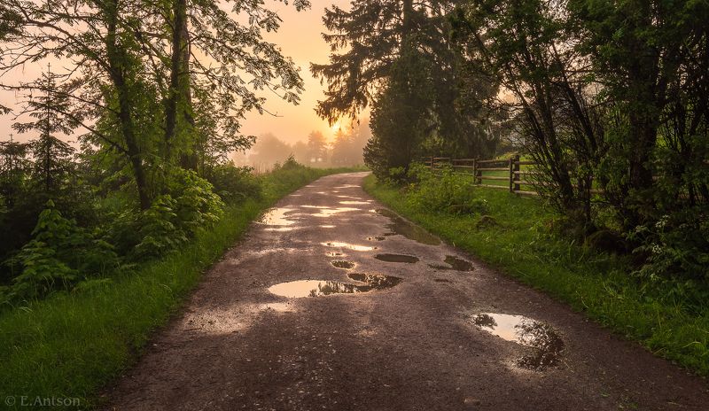 пейзаж,  природа,  туман,  рассвет Дорога в утро фото превью