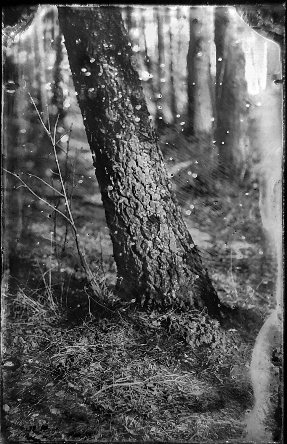 амбротип,  плёнка, средний формат, пейзаж, большой формат., Сергей Кондрюк