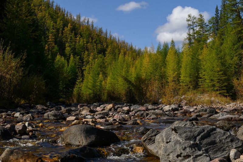 природа Золотая осень Хабаровского края фото превью