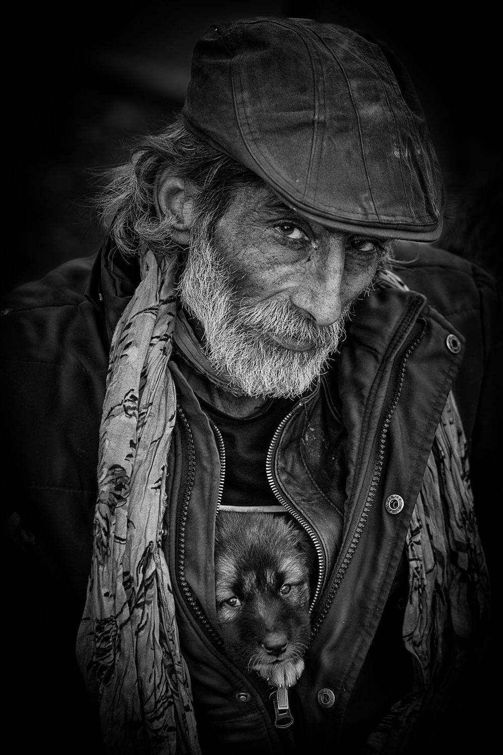 #portrait #homeless #dog #black and white, Nazari Hasan