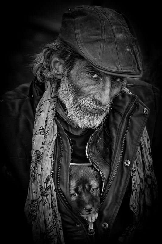 #portrait #homeless #dog #black and white Morteza фото превью