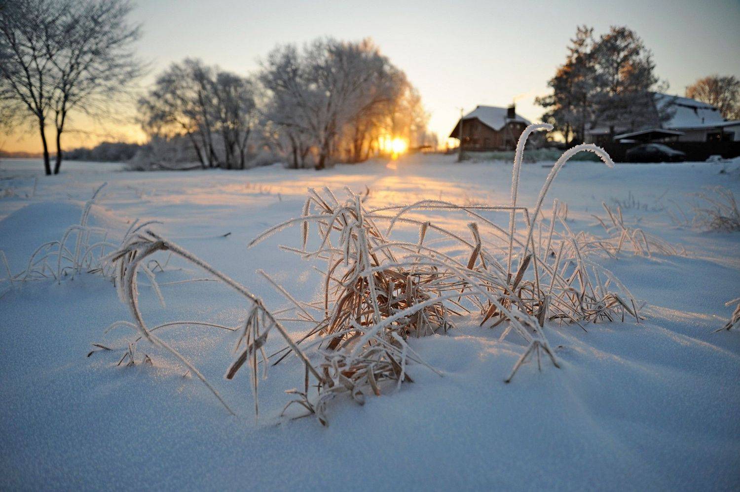 , Дарья Васильева