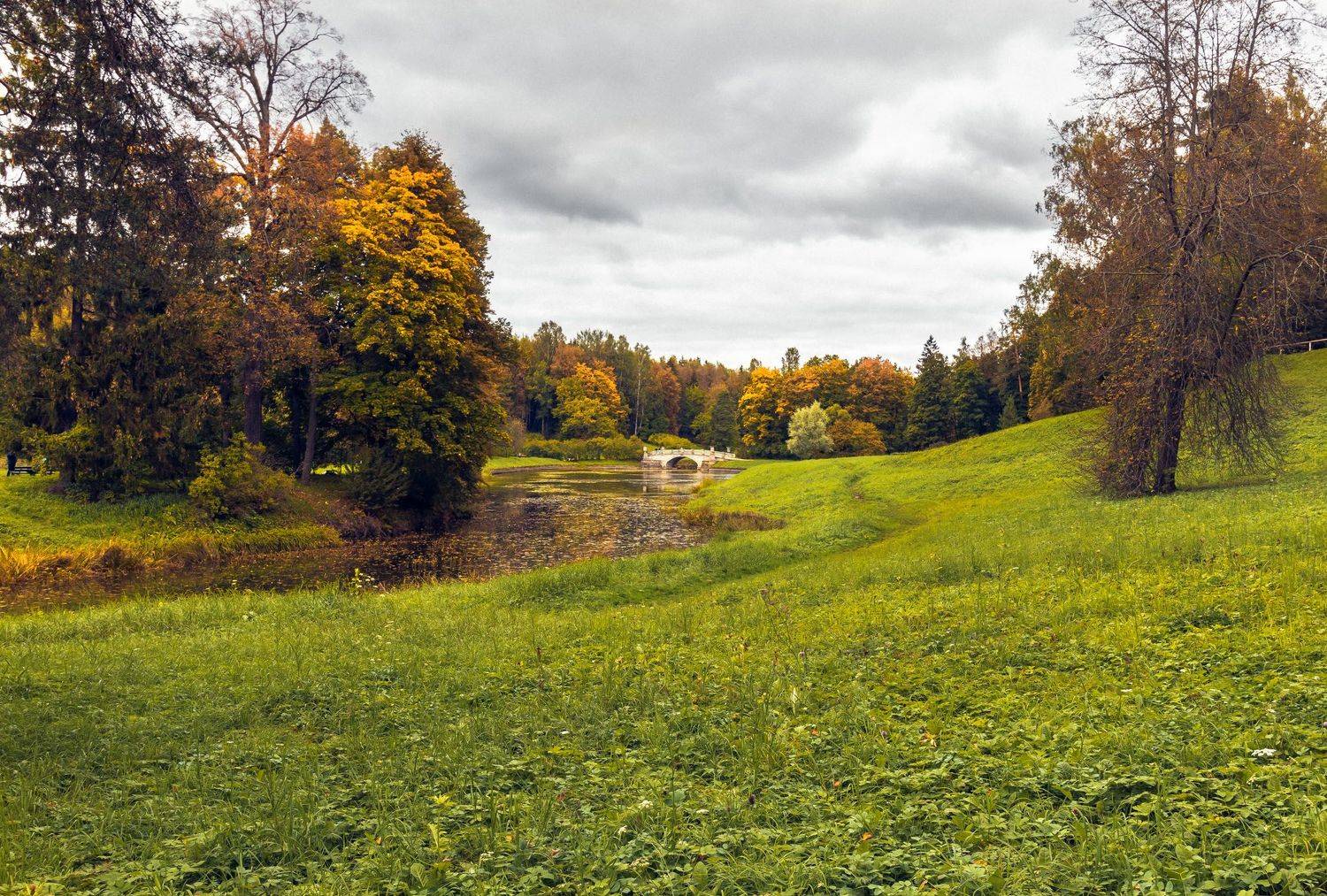 , Алексей Герасимов