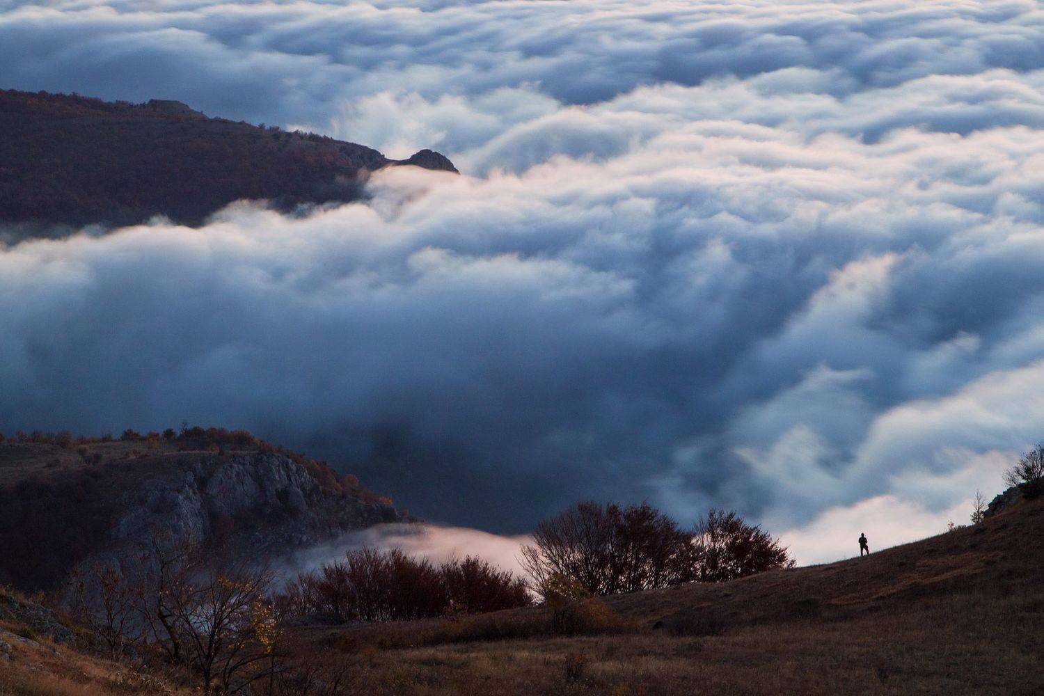 , Елена Покрепа