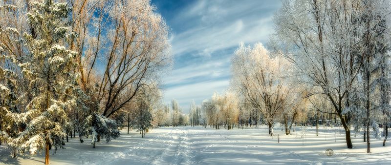 Зима в Южном парке фото превью