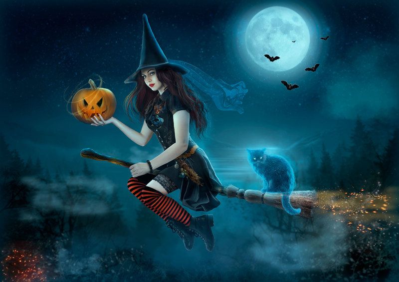 девушка,ведьма,метла,фентези Ведьма летит на шабаш фото превью