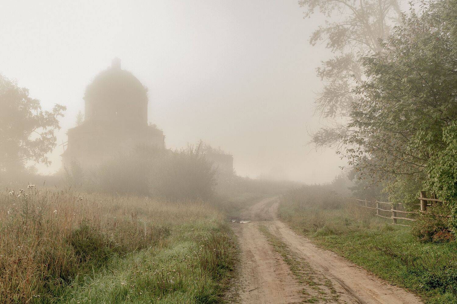 Тверская область, Елена Гусева