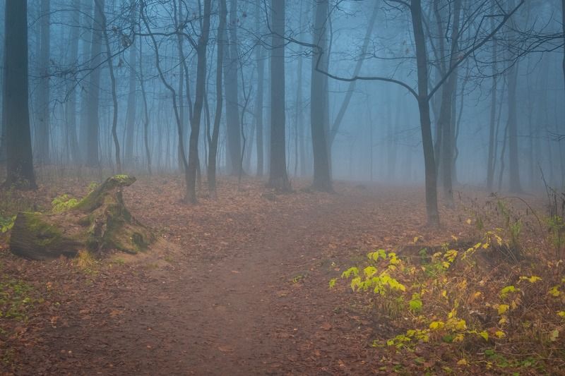 Осенний туман фото превью