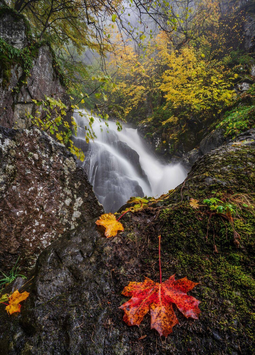 nature,landscape,autumn,mountain, viktor demidov