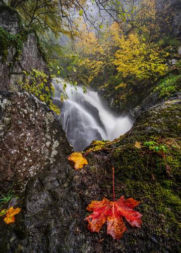The colors of Autumn