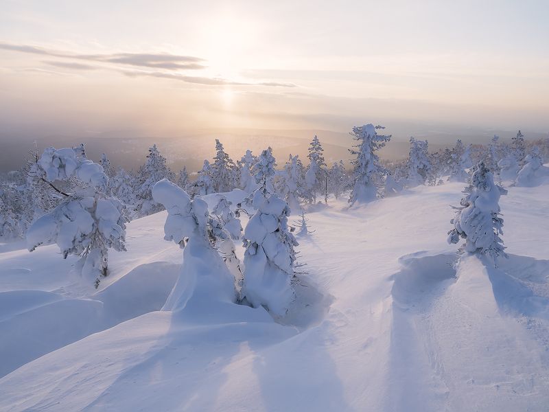 ...Снежные жители... фото превью