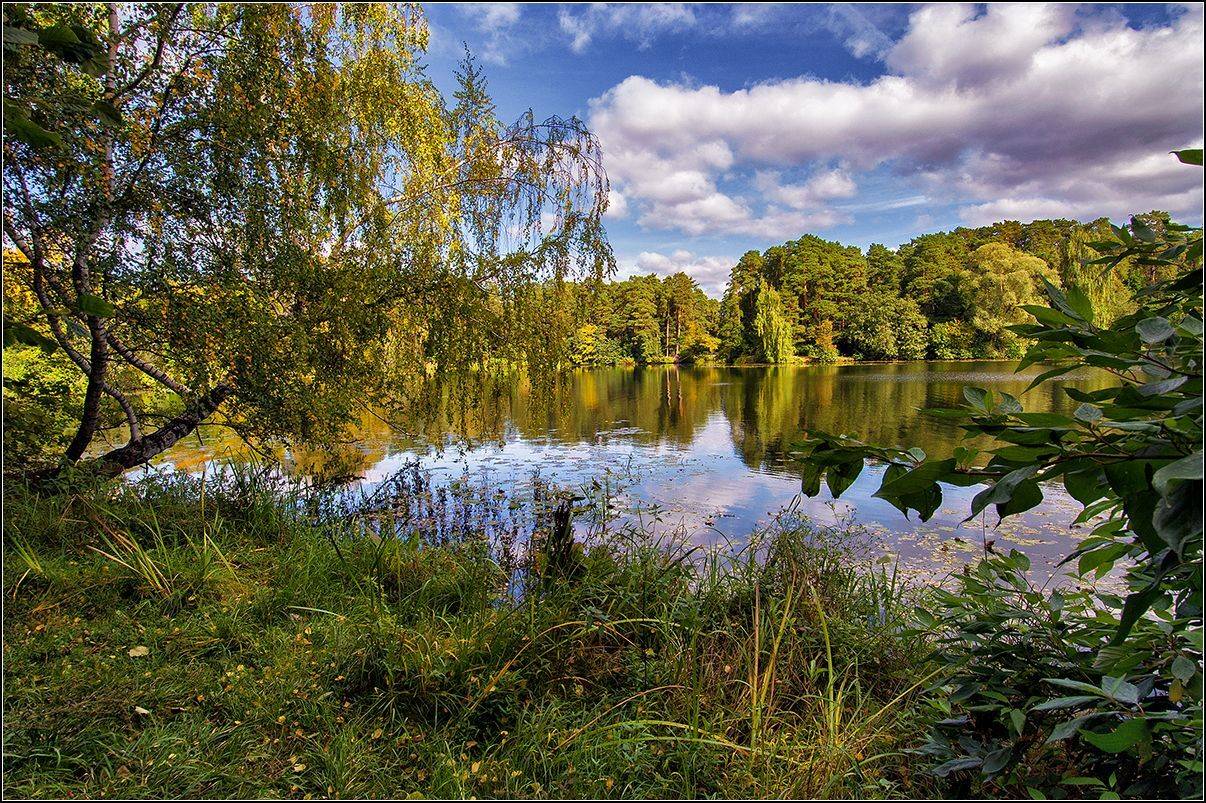 москва, осень, озеро, лес, отражение, АНАТОЛИЙ ДОВЫДЕНКО