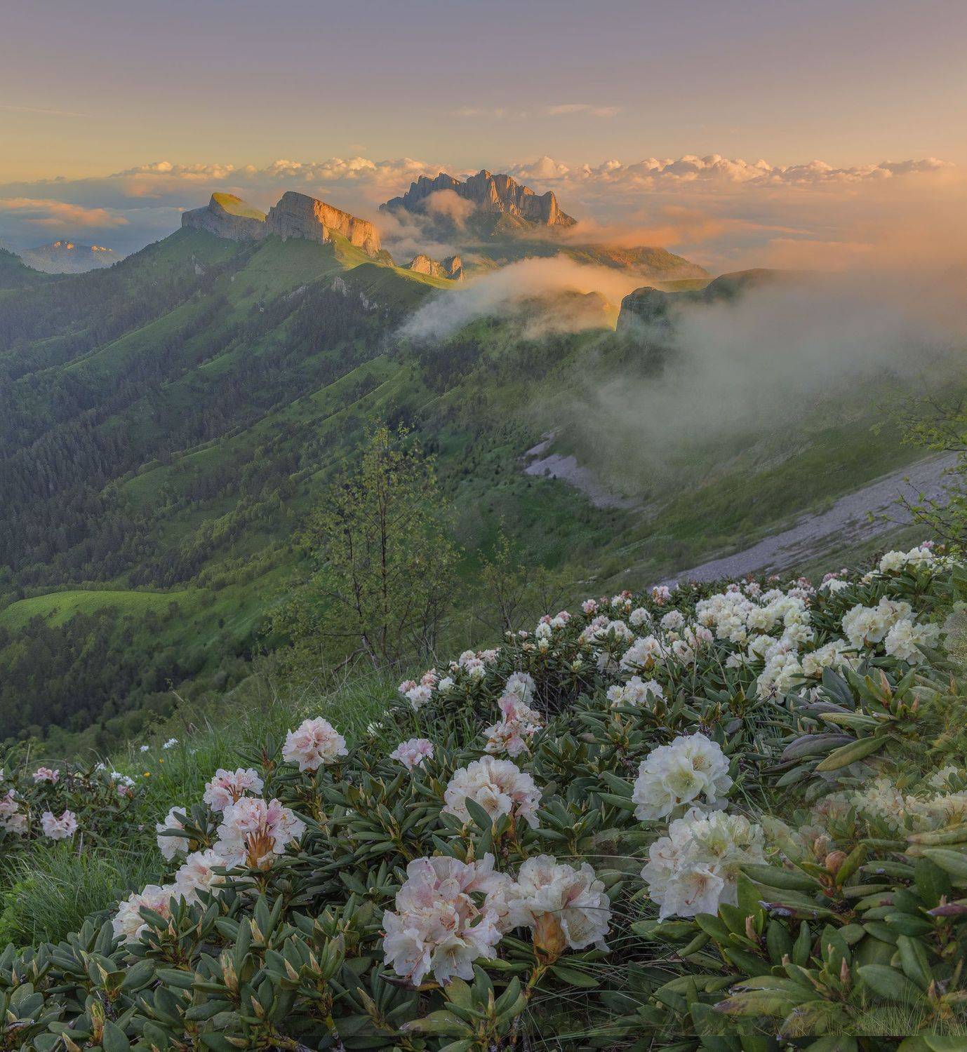 Фототуры с Владимиром Рябковым, Большой Тхач, Запрадный Кавказ, #topnature #russpasibo #magic_shots #lovelyRussia #sunset_vision #exclusive_sky  #exclusive_shots #loves_russia2 #photoarena_nature #nature_sultans #nature_perfection #rsa_sky #rsa_sunset #ph, Владимир Рябков