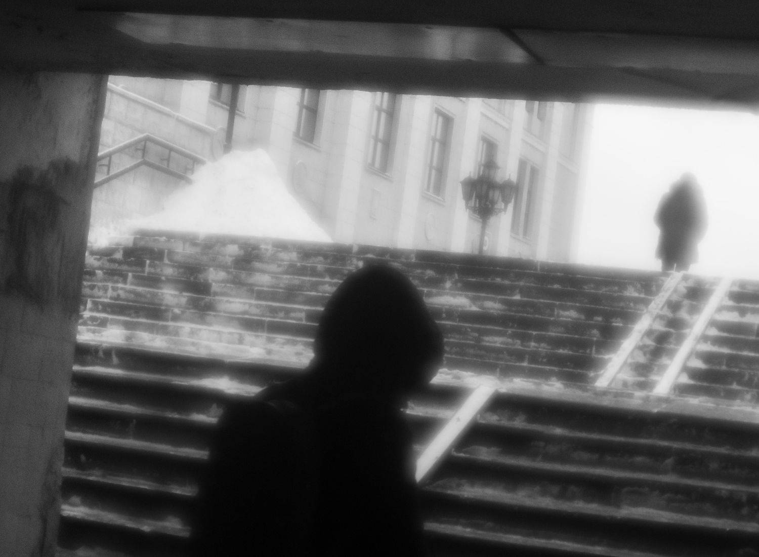 , Лариса Лофицкая