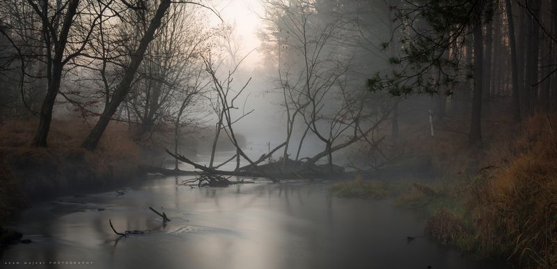 nature, fog, beauty, in, nature, water, sky, landscape, forest, river, природа, туман, красота, в, природе, воды, небо, пейзаж, лес, река The day wakes up, but I stay in my dream. фото превью