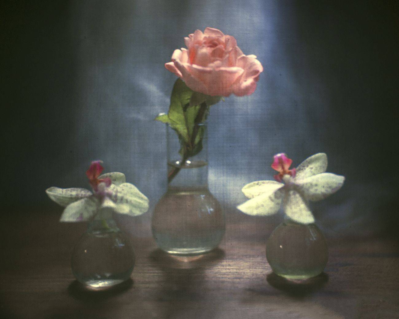 , Татьяна Аверина