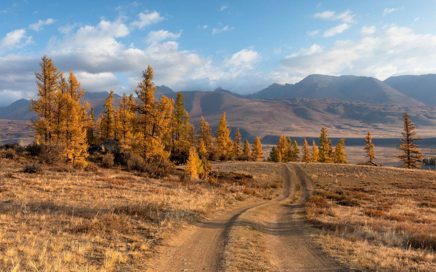 , Евгения Чех