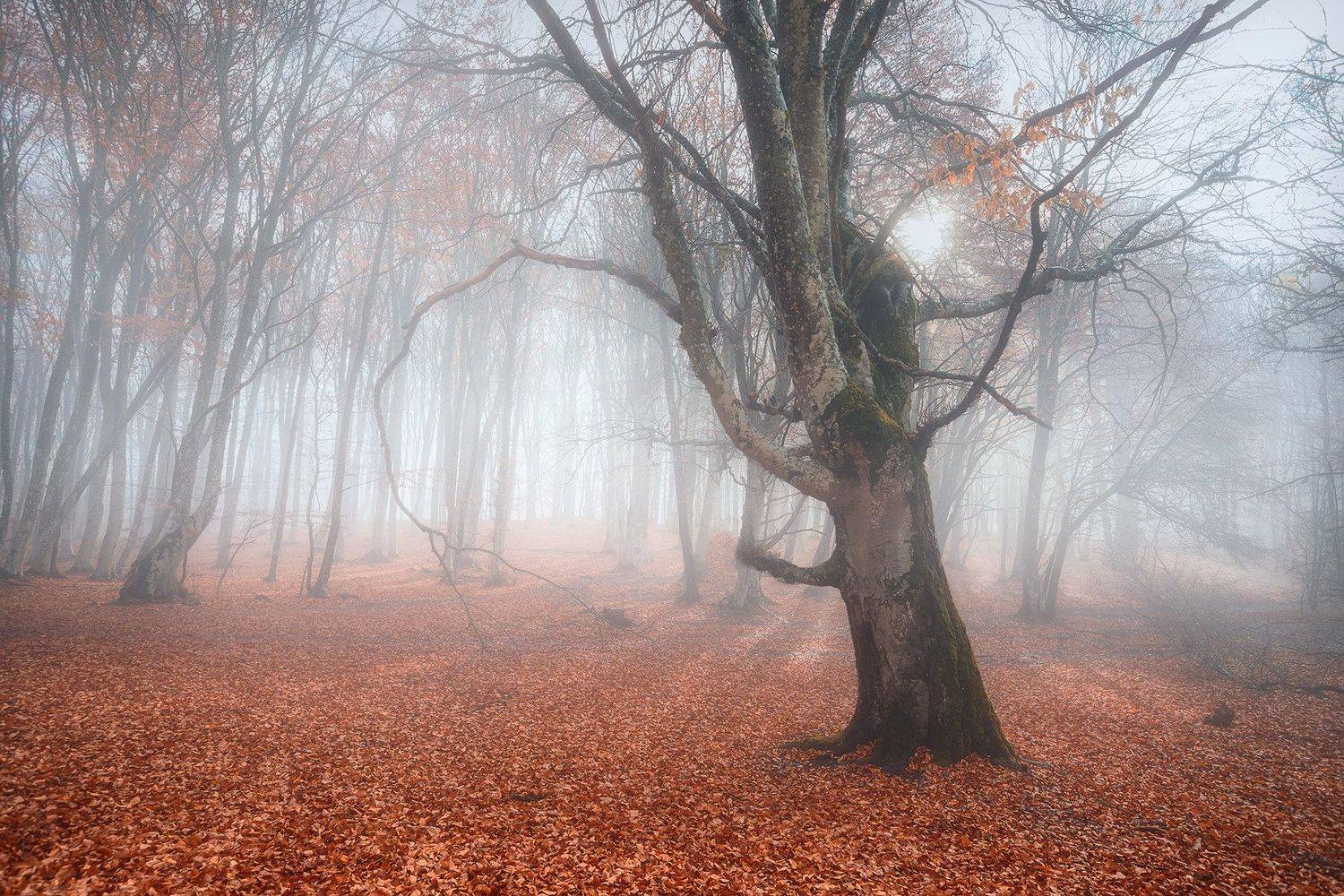 , Александр Костенко