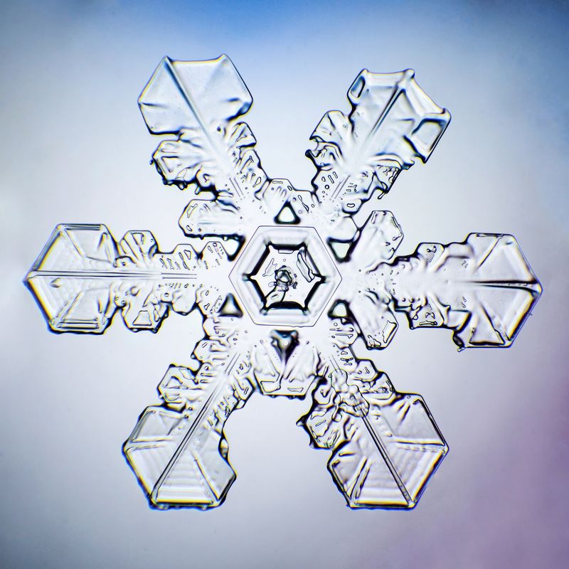 Snowflakes фото превью