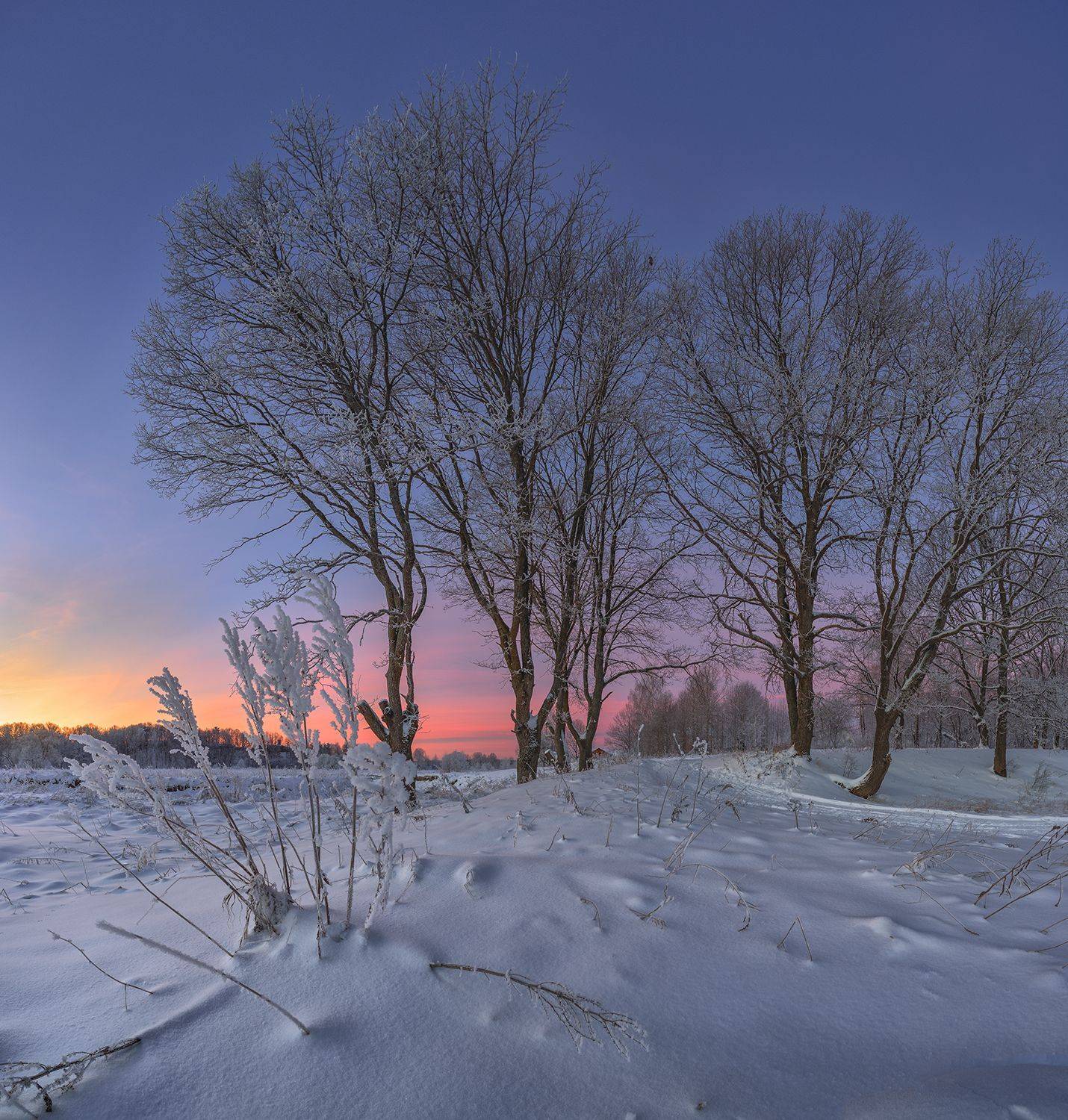 , Николай Андреев