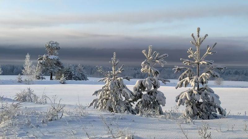 Морозный денёк фото превью
