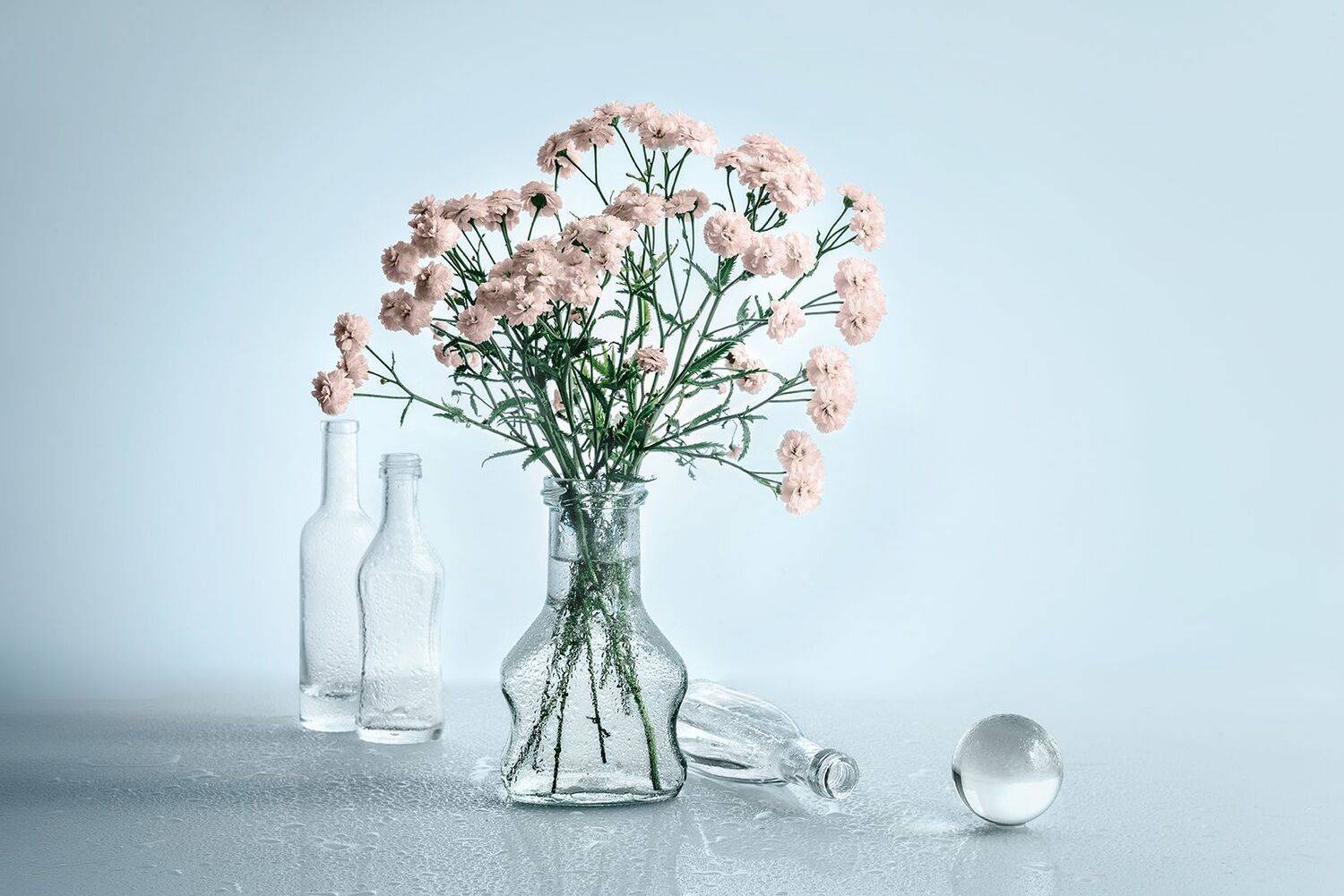 , MVO (Марк Орлов)