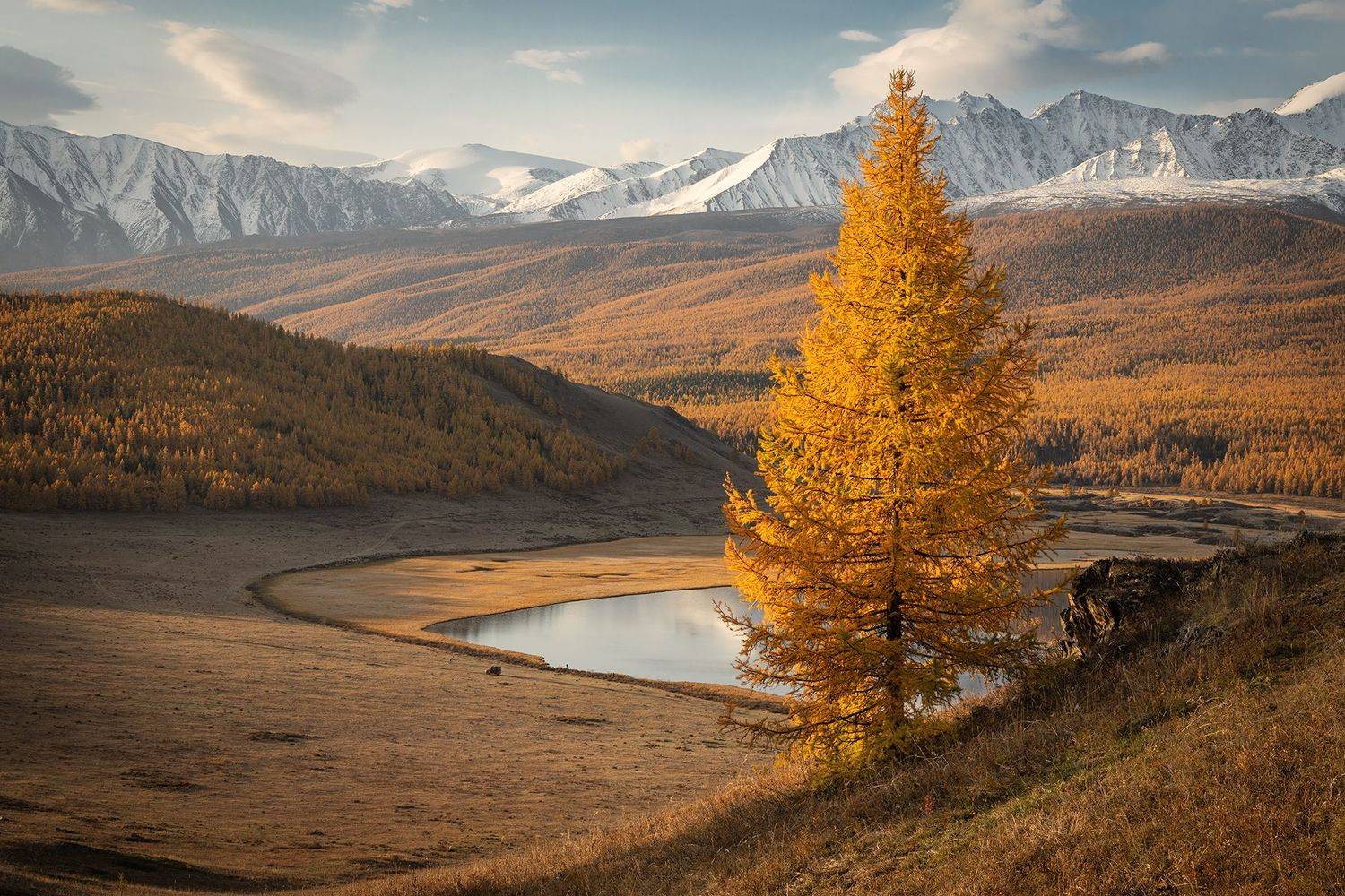 #алтай, Алексей Гурьев