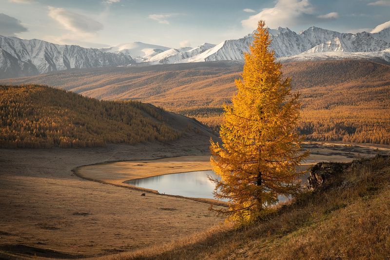 #алтай Джангысколь фото превью