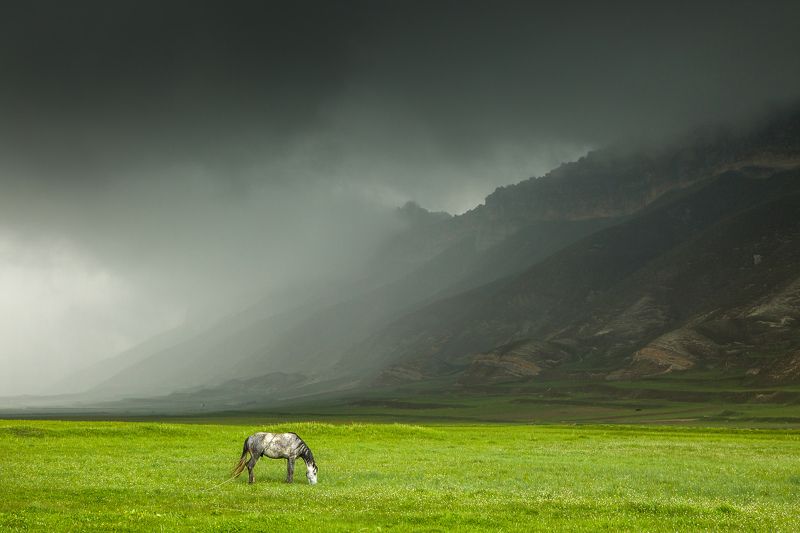 Перед бурей фото превью