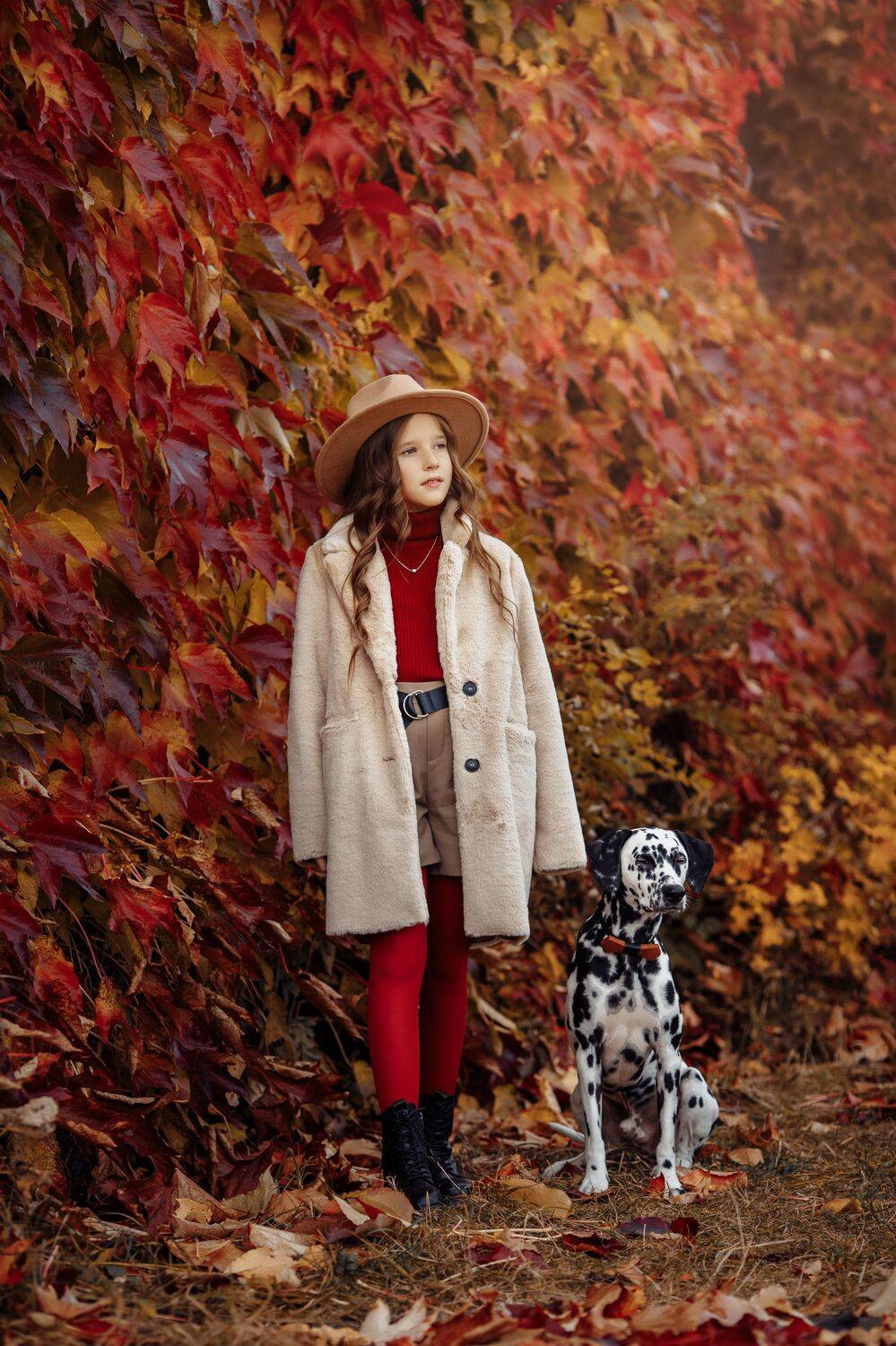 детское фото, далматинец, осень, дети, baby photo, dalmatian, autumn, children, Валентина