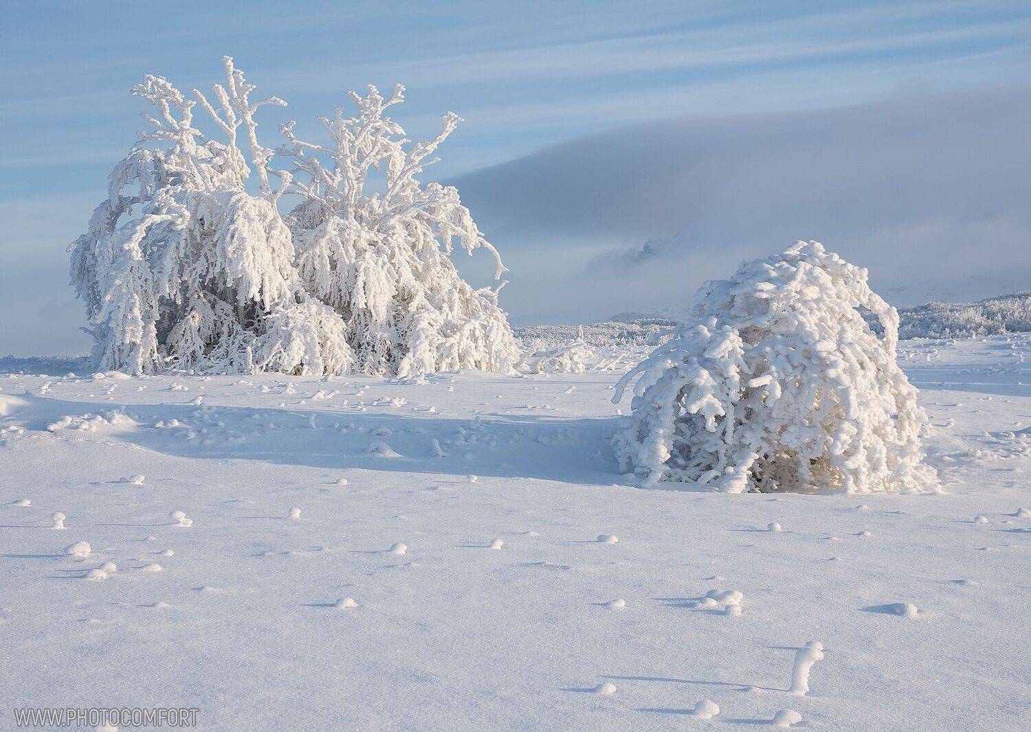 белый, зима, снег, мороз, пейзаж, Елена Ковригина