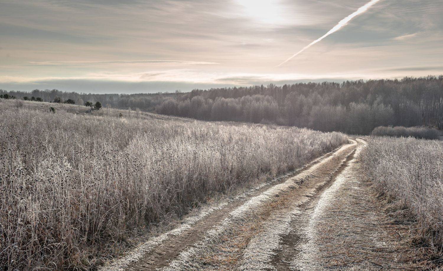 Дорога, иней, лес, небо, след самолёта., Валерий Туманов