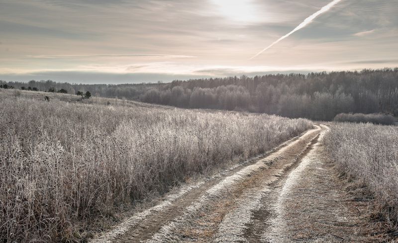 Дорога, иней, лес, небо, след самолёта. \