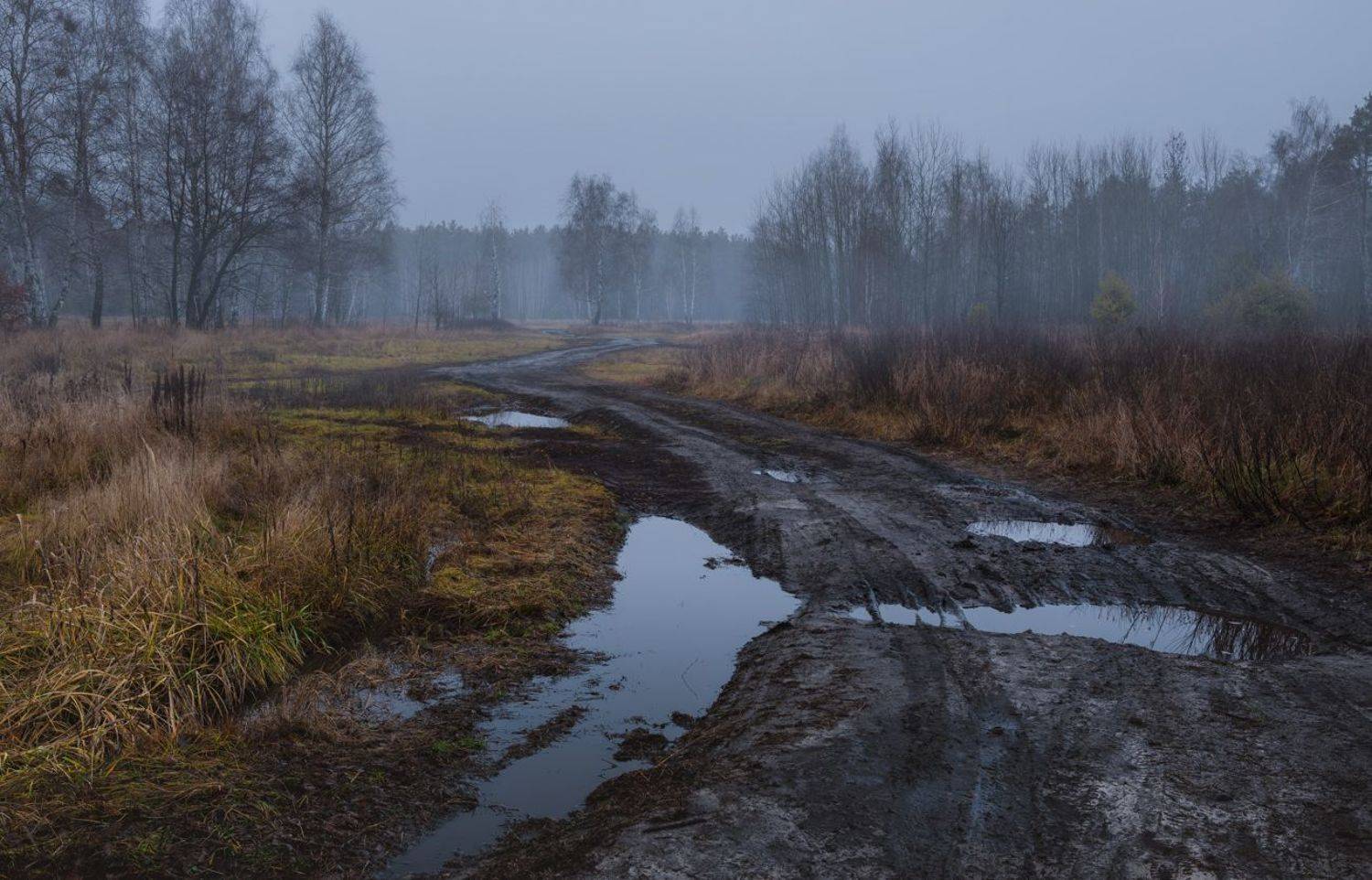 луг зима декабрь сумерки туман, Галанзовская Оксана